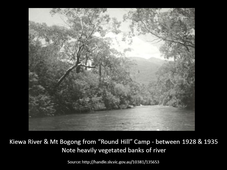 Kiewa River & Mt Bogong from Round Hill Camp - between 1928 & 1935 Note heavily vegetated banks of river Source: