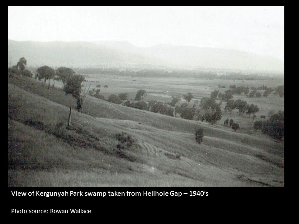 View of Kergunyah Park swamp taken from Hellhole Gap – 1940’s Photo source: Rowan Wallace