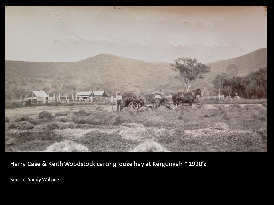 Harry Case & Keith Woodstock carting loose hay at Kergunyah ~1920’s Source: Sandy Wallace