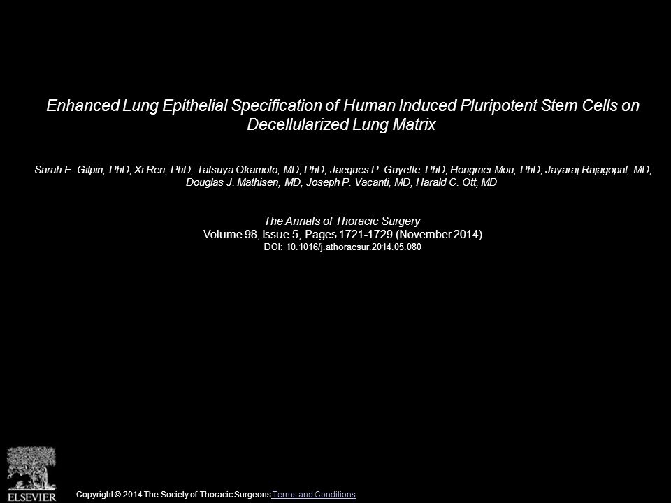 Enhanced Lung Epithelial Specification of Human Induced Pluripotent Stem Cells on Decellularized Lung Matrix Sarah E.
