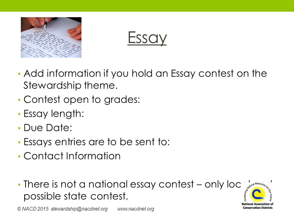 essay on add Putting together an argumentative essay outline is the perfect way to get started on your it’s time to add the next important element of your. essay on add Putting together an argumentative essay outline is the perfect way to get started on your it’s time to add the next important element of your.