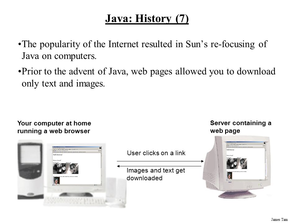 Java Web Browser Project