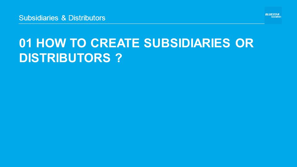 01 HOW TO CREATE SUBSIDIARIES OR DISTRIBUTORS Subsidiaries & Distributors