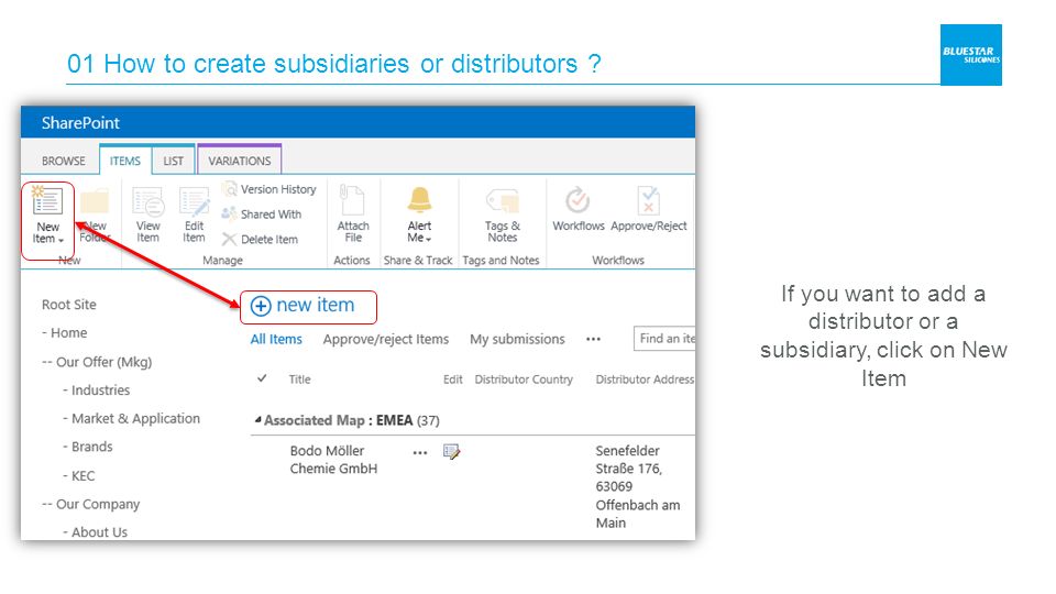 01 How to create subsidiaries or distributors .
