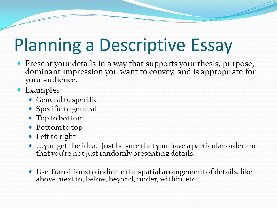 Dominant impression essay examples