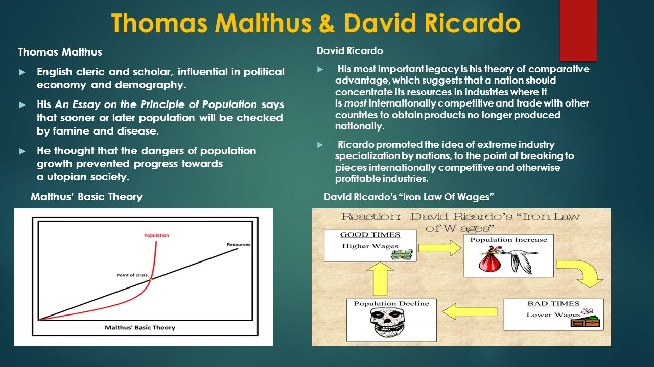 demography essay Elections, republican party, politics - the changing demographics of texas. demography essay Elections, republican party, politics - the changing demographics of texas.