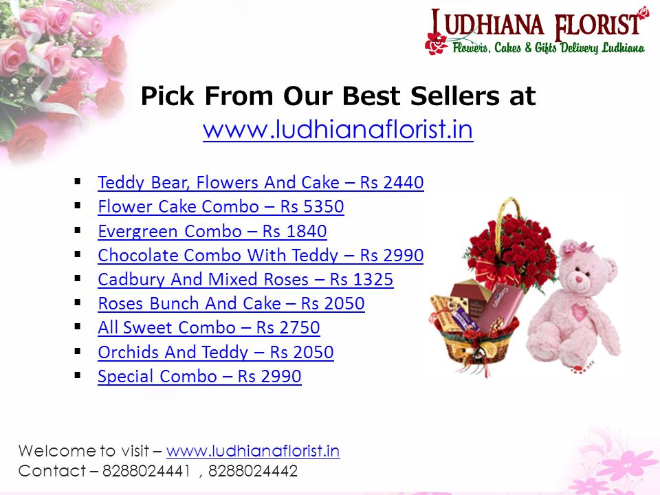 Pick From Our Best Sellers at      Teddy Bear, Flowers And Cake – Rs 2440 Teddy Bear, Flowers And Cake – Rs 2440  Flower Cake Combo – Rs 5350 Flower Cake Combo – Rs 5350  Evergreen Combo – Rs 1840 Evergreen Combo – Rs 1840  Chocolate Combo With Teddy – Rs 2990 Chocolate Combo With Teddy – Rs 2990  Cadbury And Mixed Roses – Rs 1325 Cadbury And Mixed Roses – Rs 1325  Roses Bunch And Cake – Rs 2050 Roses Bunch And Cake – Rs 2050  All Sweet Combo – Rs 2750 All Sweet Combo – Rs 2750  Orchids And Teddy – Rs 2050 Orchids And Teddy – Rs 2050  Special Combo – Rs 2990 Special Combo – Rs 2990 Welcome to visit –   Contact – ,