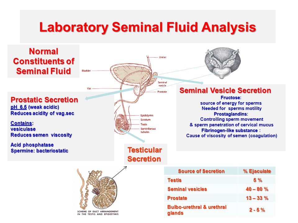 Treatment for poor sperm motility