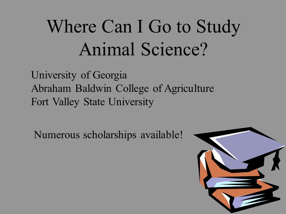animal science scholarships