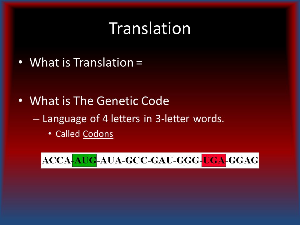 translation what is the genetic code and how is it read our 1 st define red letter