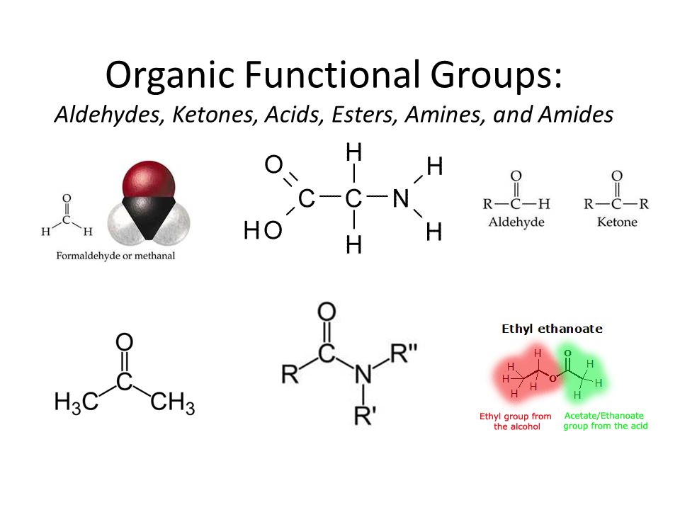 ester functional group