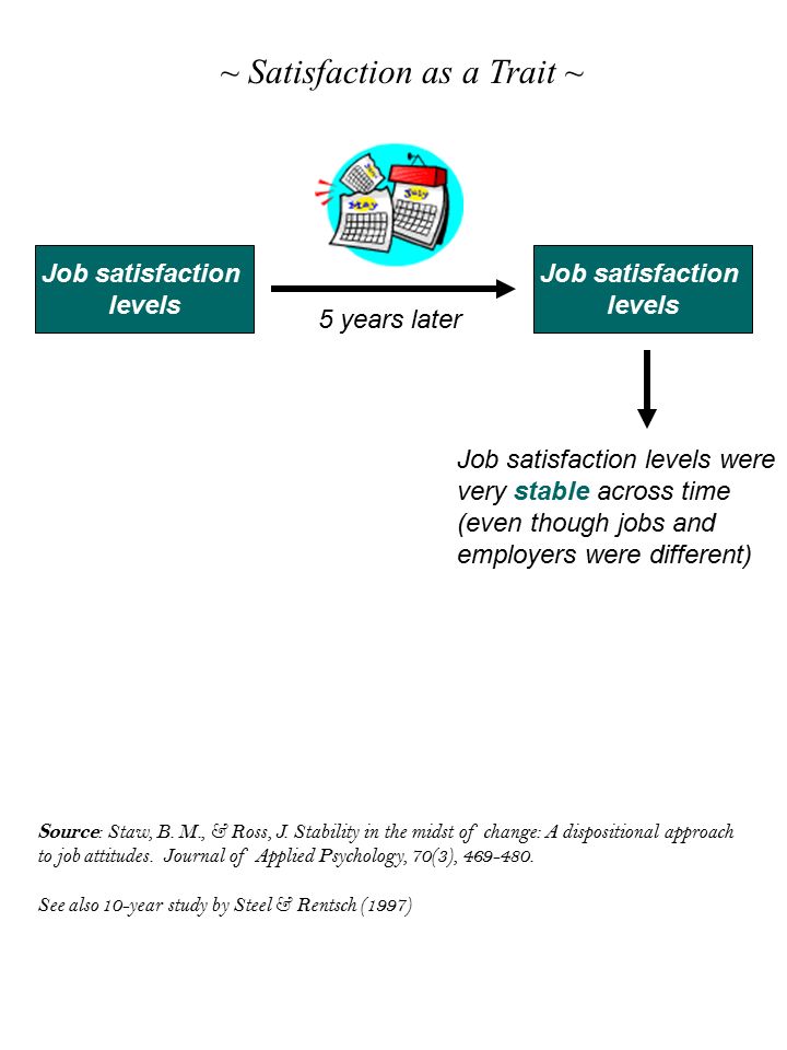 essay on job satisfaction