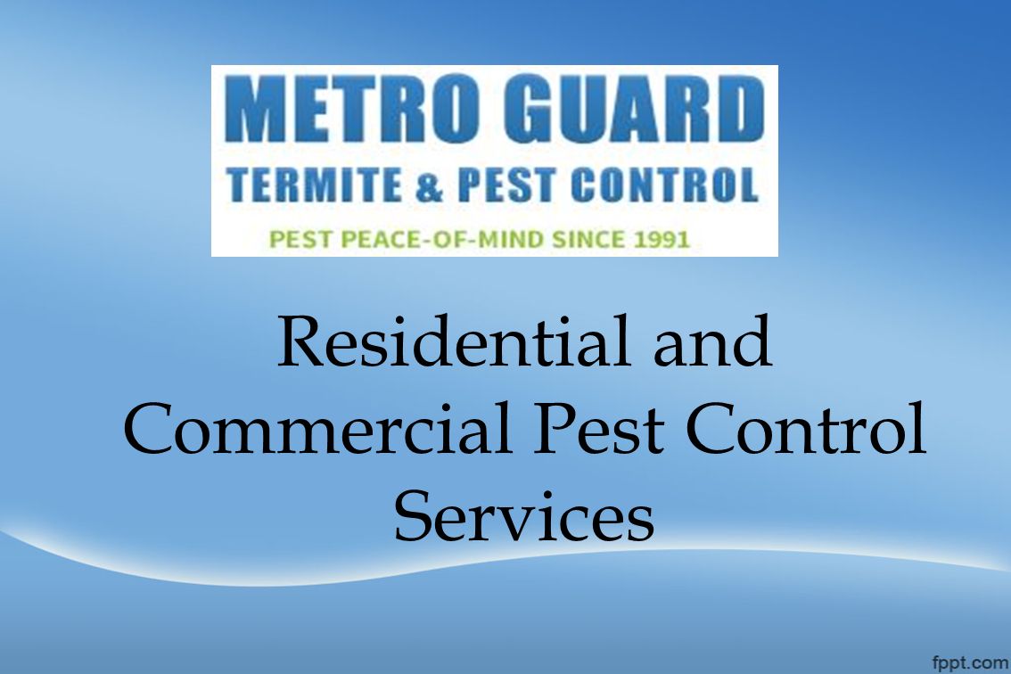 Residential and Commercial Pest Control Services