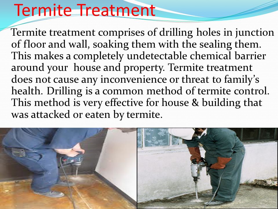 Termite Treatment Termite treatment comprises of drilling holes in junction of floor and wall, soaking them with the sealing them.