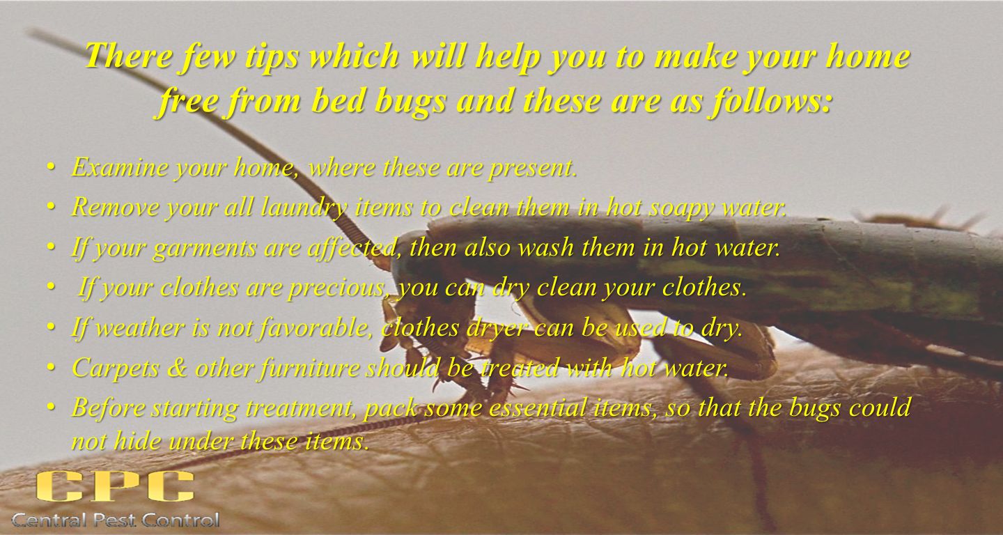 There few tips which will help you to make your home free from bed bugs and these are as follows: Examine your home, where these are present.