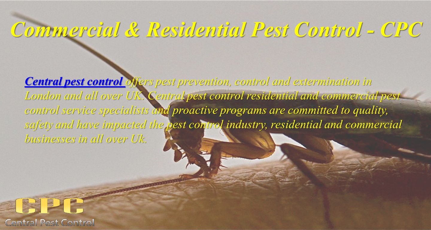 Commercial & Residential Pest Control - CPC Central pest control Central pest control offers pest prevention, control and extermination in London and all over UK.