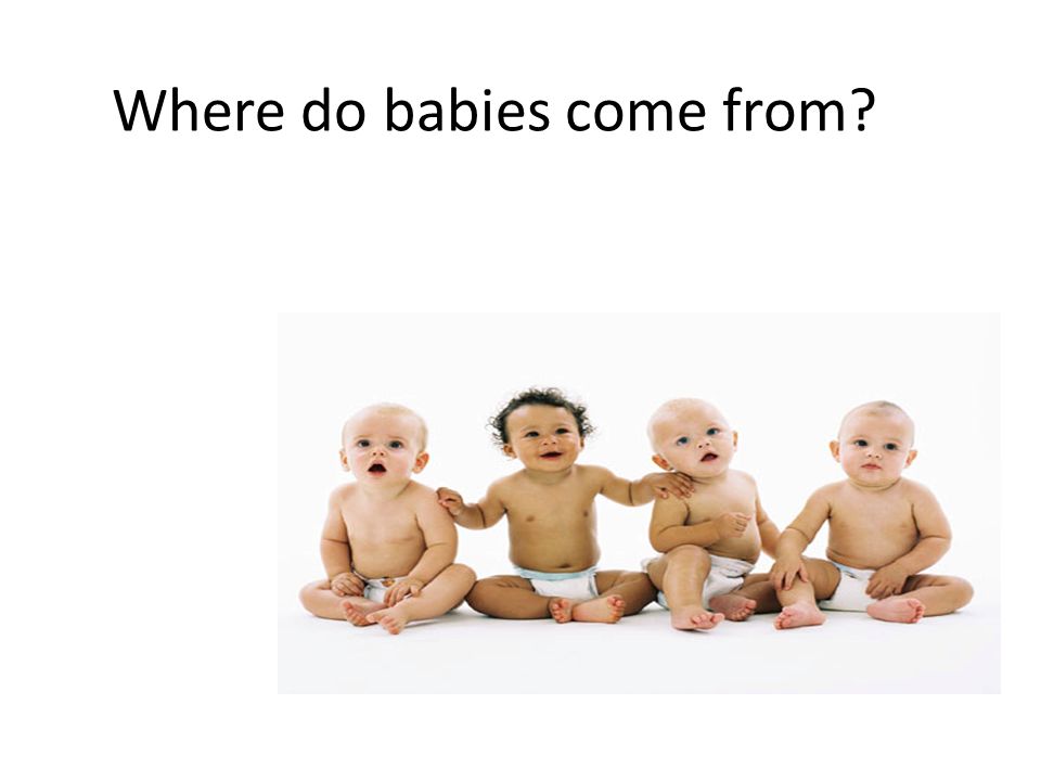 where do babies come from