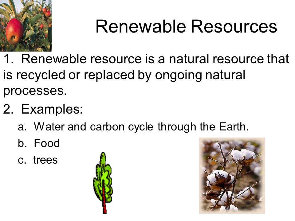 natural resources examples