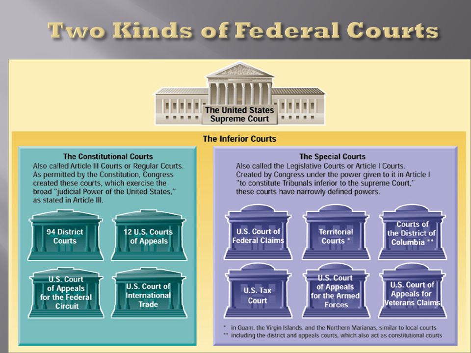 dual court system