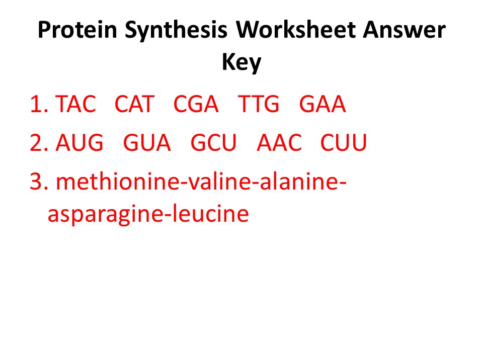 Gene Mutations Worksheet Answers Cxpz Info 36 Mutation Worksheet