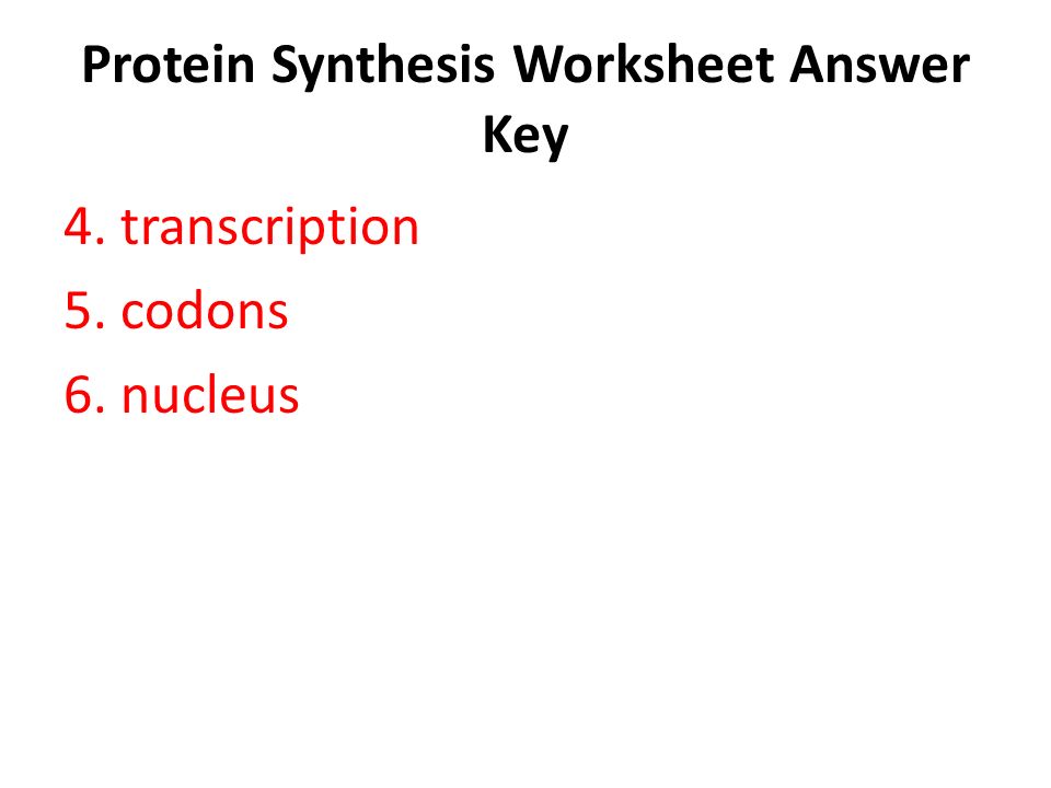 Dna Rna Proteins Starts With Worksheet Answers Delibertad Protein Synthesis Worksheet Answer Key Templates And Worksheets