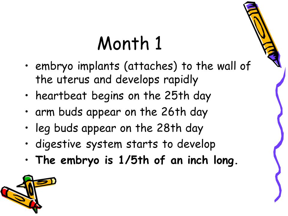 month 1
