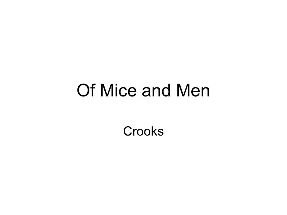 mice and men essay questions