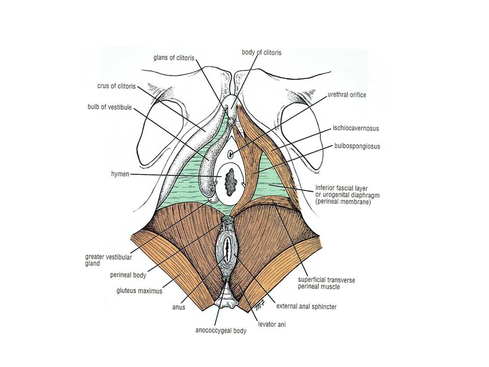 Boob job jab Advice double penetration sex