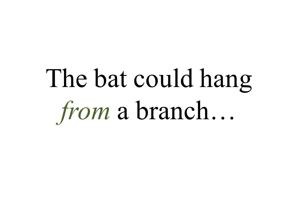 The bat could hang from a branch…