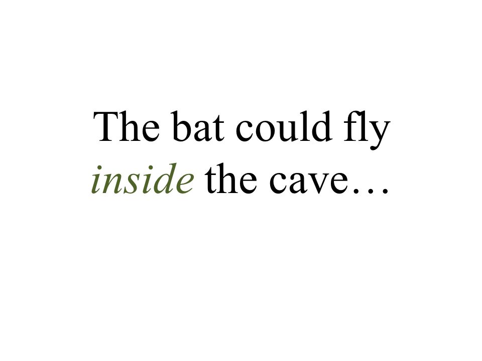 The bat could fly inside the cave…