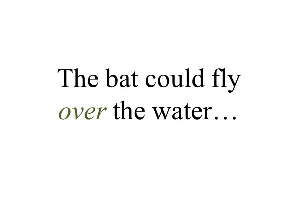 The bat could fly over the water…