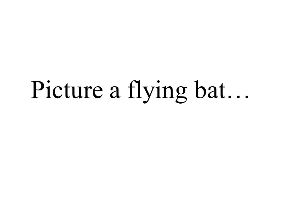 Picture a flying bat…