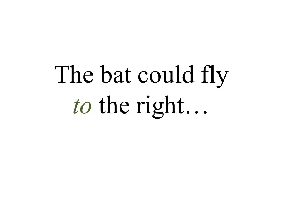 The bat could fly to the right…