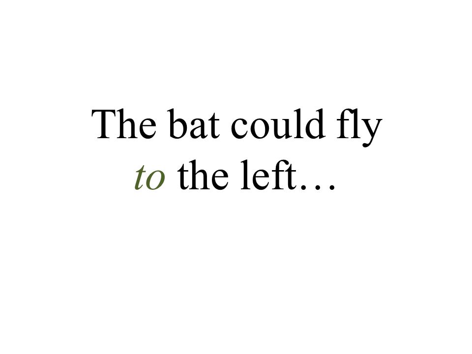 The bat could fly to the left…