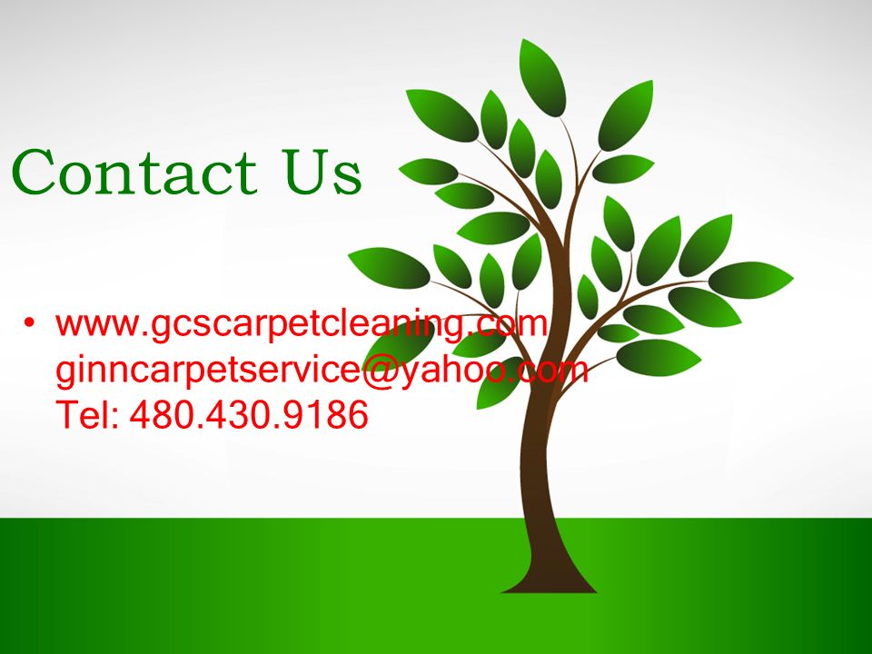 Tel: Contact Us