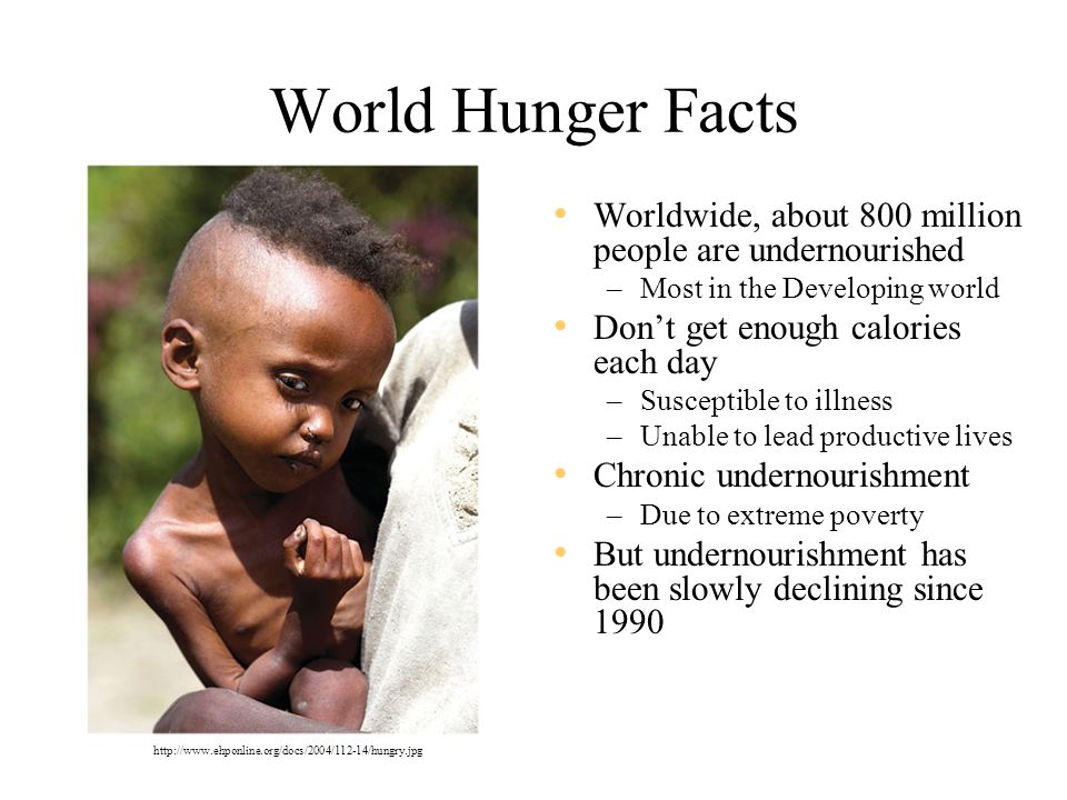 argumentative essay on world hunger argumentative essay on world hunger