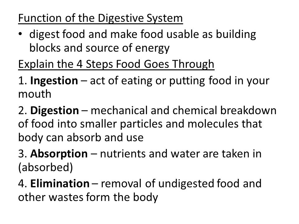 Digestive System Ingestion Digestion Absorption Elimination Diet