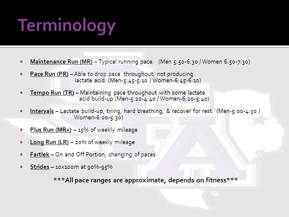 A Beginner 39 S Guide To Structuring Your Swim Workout Breaking Muscle Humana Rock 39 N Roll New Orleans Race Day Photos