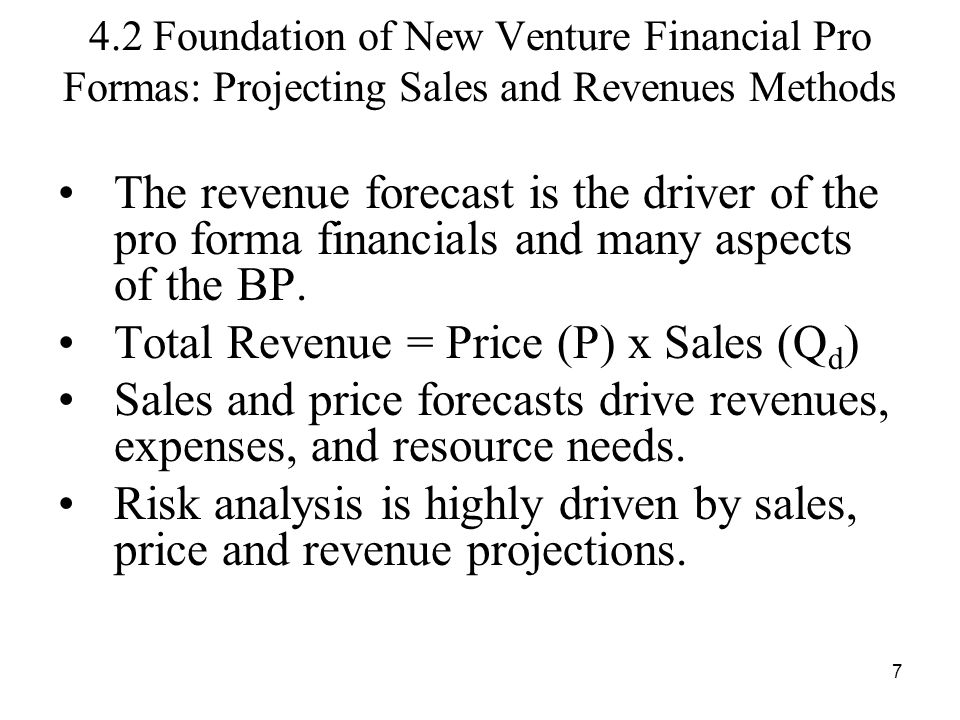 pro forma p l template