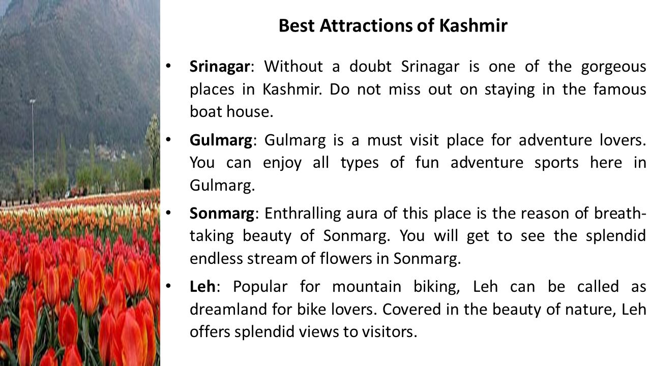 Best Attractions of Kashmir Srinagar: Without a doubt Srinagar is one of the gorgeous places in Kashmir.
