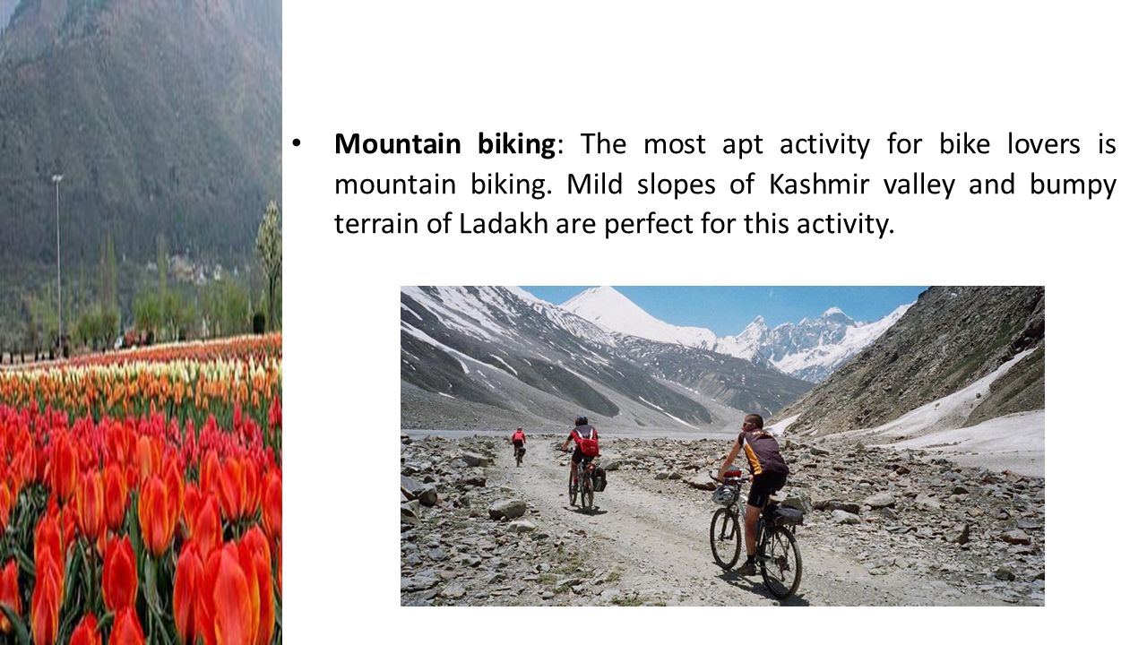 Mountain biking: The most apt activity for bike lovers is mountain biking.