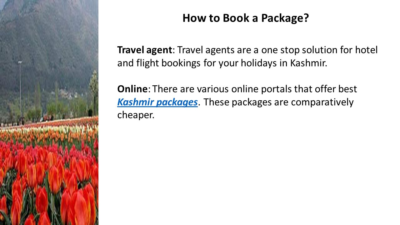 Travel agent: Travel agents are a one stop solution for hotel and flight bookings for your holidays in Kashmir.