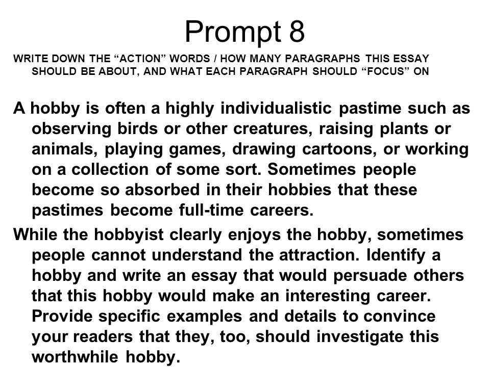 my interest and hobbies essay my interest and hobbies essay