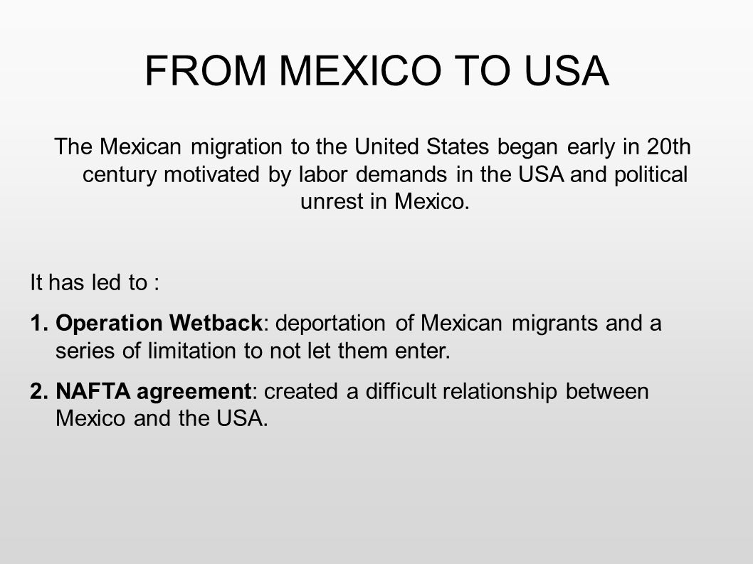 Illegal Immigrants Essay