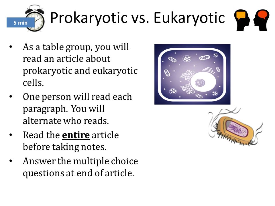 5 Min Agenda Objective S Swbat Demonstrate Knowledge About Cells 8 Prokaryotic Vs