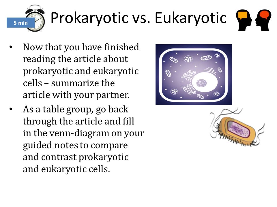 5 Min Agenda Objective S Swbat Demonstrate Knowledge About Cells 9 Prokaryotic Vs Eukaryotic