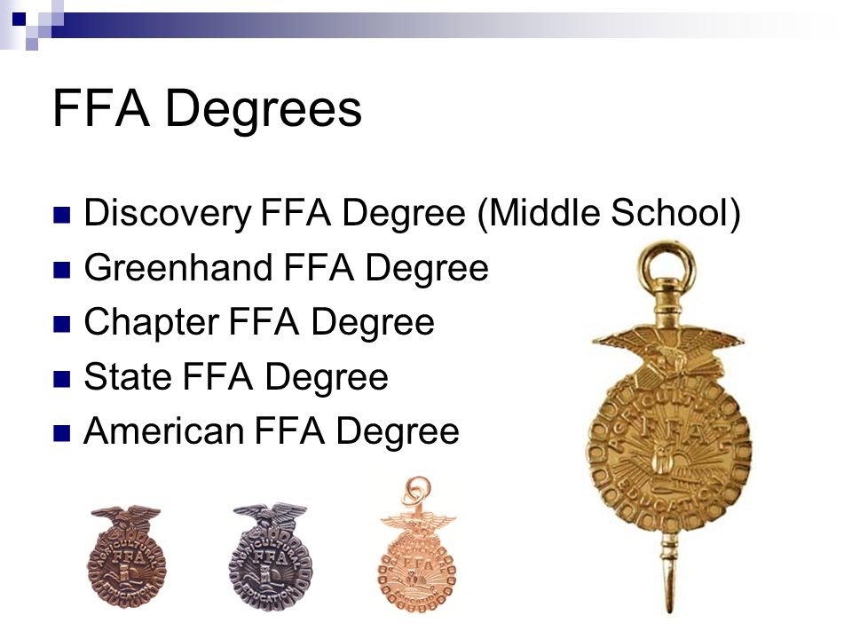 Image result for FFA degrees