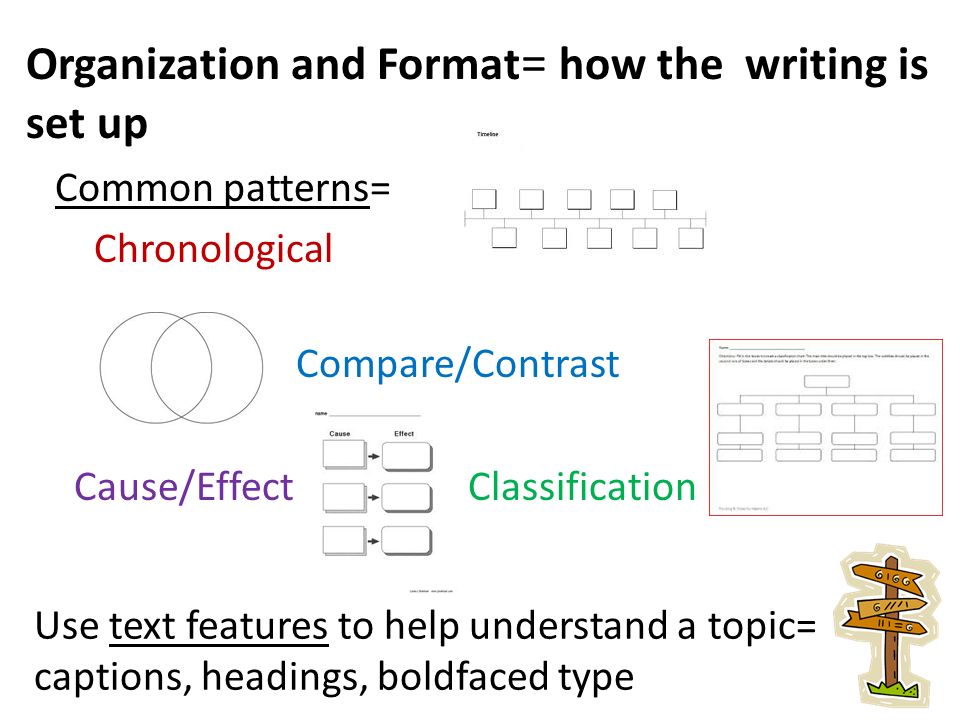Outline Of Cause And Effect Essay
