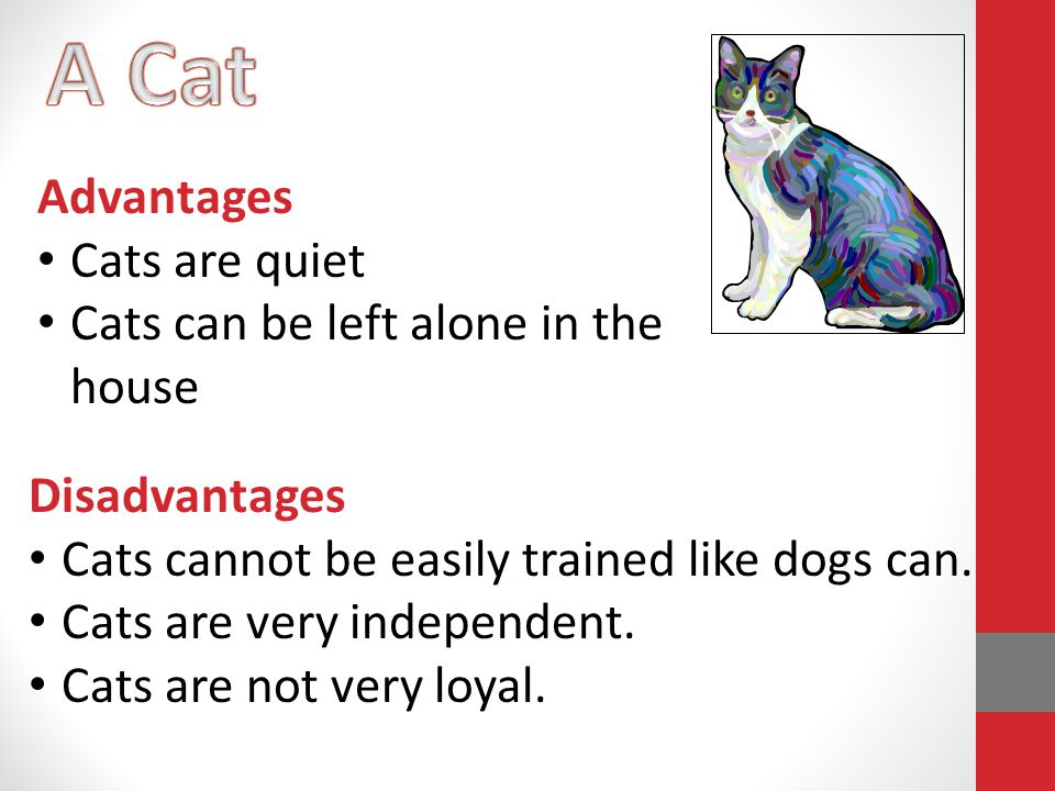 Advantages Cats are quiet Cats can be left alone in the house Disadvantages Cats cannot be easily trained like dogs can.