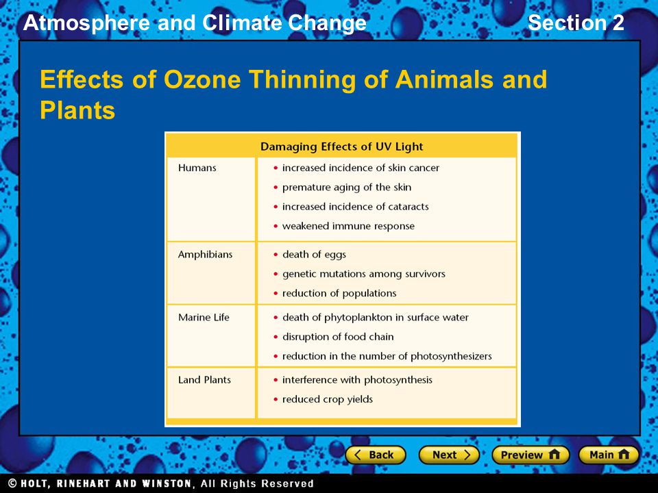 Atmosphere and Climate ChangeSection 2 Effects of Ozone Thinning of Animals and Plants